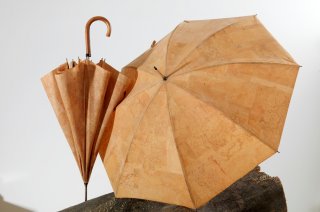 Parafa esernyő